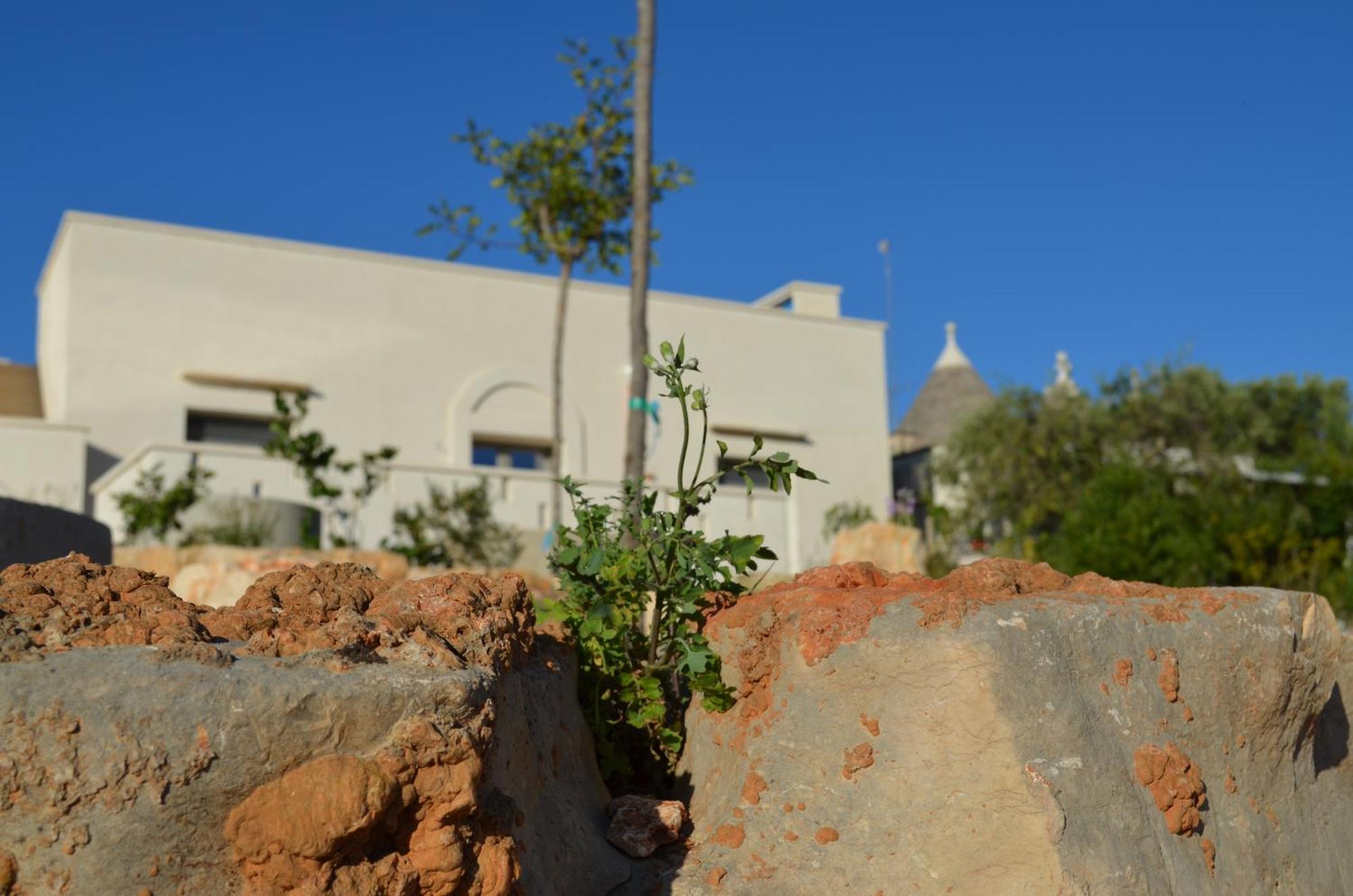 B&B Fuga Al Trullo Ostuni Εξωτερικό φωτογραφία